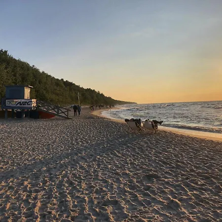 Ohana In 300 M From The * Pobierowo