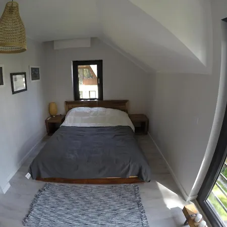 Ohana In 300 M From The