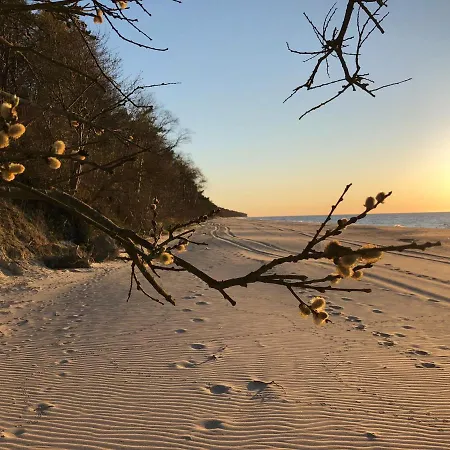 Ohana In 300 M From The Willa