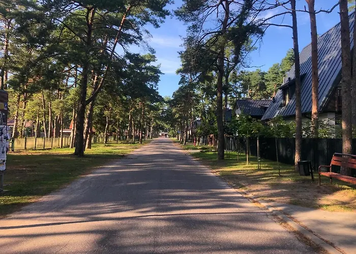 Ohana In 300 M From The