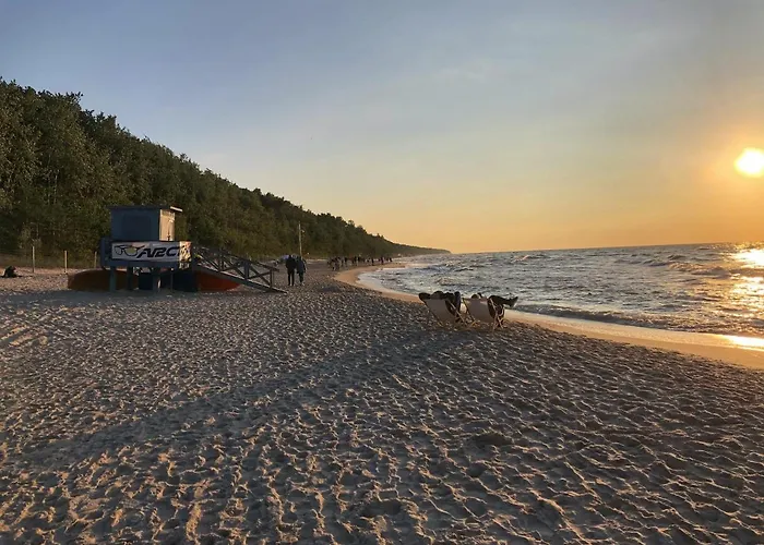 Ohana In 300 M From The * Pobierowo