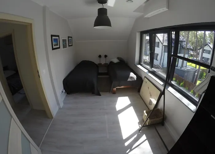 Ohana In 300 M From The