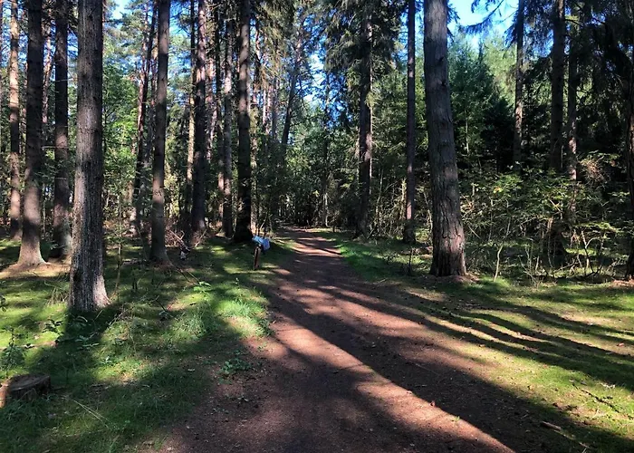 Ohana In 300 M From The Vila *