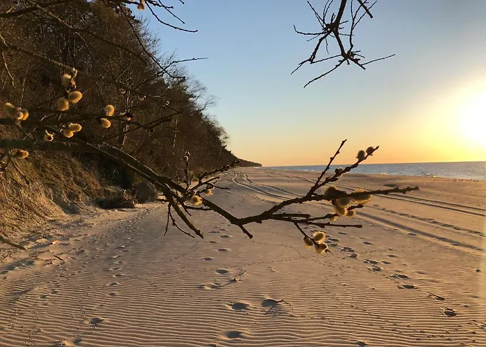 Ohana In 300 M From The Vila